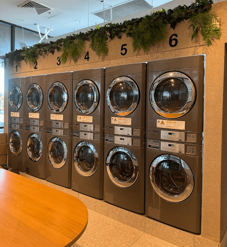 365 Laundromat photo